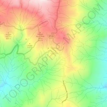 Mapa topográfico Triana, altitud, relieve