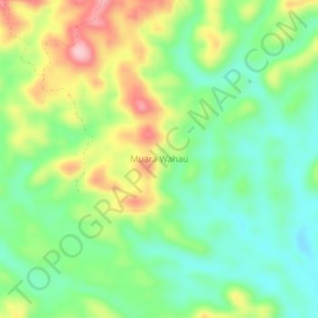 Mapa topográfico Muara Wahau, altitud, relieve