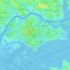 Mapa topográfico Singapur, altitud, relieve